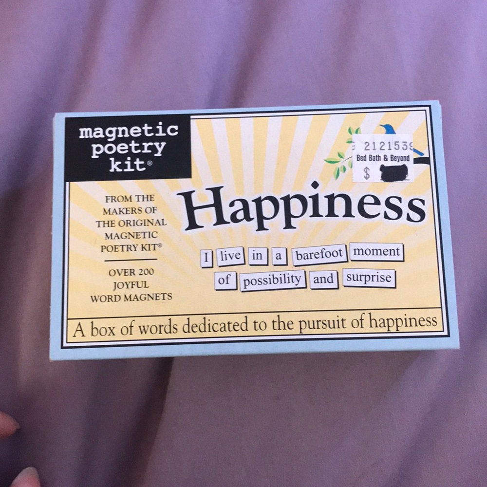 Magnetic Poetry Kit